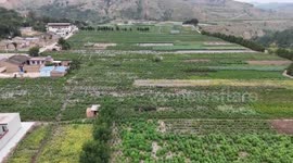 China: Chili peppers spice up economy in Chinese county