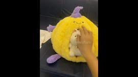 Kitten cries for attention inside pumpkin house in Henan, China
