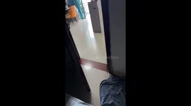Excited Pomeranian runs to owner in Guangdong, China