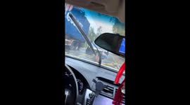 People work together to clear fallen tree blocking road in Guangdong, China