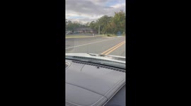 Snake hitches a ride on moving car in Tulsa, Oklahoma, USA