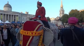 Elephant entertains the crowds at DIWALI On The Square 2025 celebrations in central London