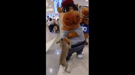 Chaotic Dog Wants to Play With Capybaras