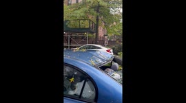 Downed trees and damage cars after powerful nor’easter in Queens, New York, USA