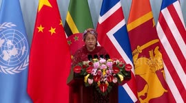 China: UN official hails China's role in advancing women's cause globally