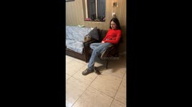 Little Kitten Climbs up Legs