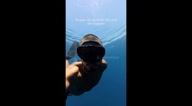 Orcas hunt sea turtle in front of stunned diver’s camera in rare viral encounter off Baja California