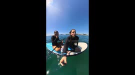 Whale Watching a Little Too Close