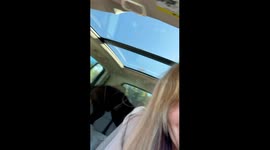 Dog jumps into car, steals pizza—Woman’s fall road trip turns viral with 360.2k TikTok views