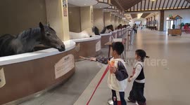 Horse bows as children offer carrot in Hebei, China