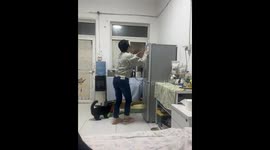 Mischievous cat blocks owner from opening refrigerator in Beijing, China