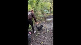 Dog patiently waits to be rescued after getting stuck in mud in Hayle, UK