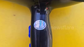 Schoolgirl, 10, killed by electric shock from Chinese hair dryer her mum bought on TikTok