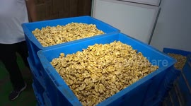 China: Yunnan walnuts crack international markets