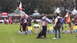 Movie star dog fired for biting crew crowned world's most obedient canine