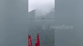 Daring monkeys take a stroll on precarious electric wires