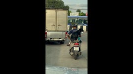 Injured pet dog rides on the back of owner's scooter