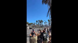 Helicopter crashes near beachside palm trees, Huntington beach, California, USA