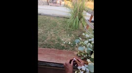 Heart-stopping moment wedding videographer drops and loses ring in wooden decking