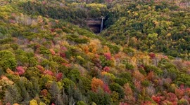 US: DRONE: Fall foliage in Catskills, NY