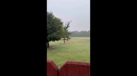 Foggy morning rain brings relief to wheat fields in Ulysses, Kansas