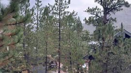 Rare graupel event caught on video in Las Vegas, Nevada, USA