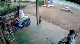 Dog dodges out-of-control pickup truck as it ploughs into garden shrine
