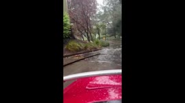 US: Flooding Reported at Disneyland Attraction Amid October Storm in Southern California