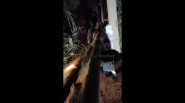 Elephant bull in rut kills two villagers on rampage in Thailand