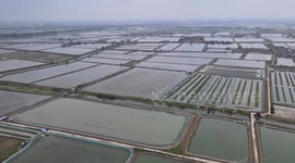China: Restrictions : No access Chinese mainland
