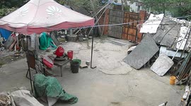 Security video shows tricycle crash into gate in Anhui, China