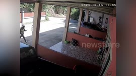Goose tries to attack deliveryman