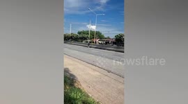 Two kind passersby save puppies stranded on busy road