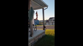 ‘Haunted’ Halloween doll leaves viewers spooked as it turns to face owner in viral TikTok