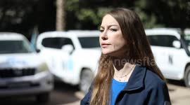 Ceasefire enables expanded aid delivery to Gaza