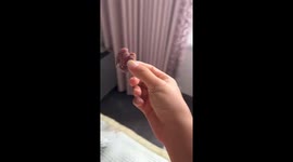 Man hilariously tosses food at cicada from window in Liaoning, China