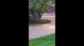 Morning thundershower drifts in Fort Collins, Colorado, USA