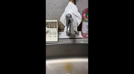 The faucet slap trick in Shanghai, China