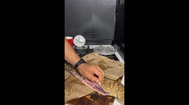 Moroccan chef cooks fried eel with honey — a bizarre but delicious dish