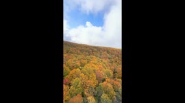 Japan: Autumn Foliage Blooms Across Country After Scorching Summer