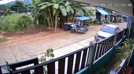 Motorist chases away dogs... only for his food cart to roll away