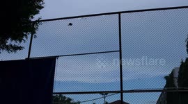 A tragic wildlife accident at our tennis court as a small dove crashes into the high wire fence surrounding the court.