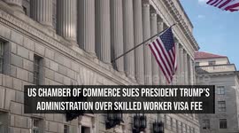 US Chamber of Commerce sues President Trump's administration over skilled worker visa fee