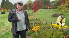 Pensioner's spectacular 'four seasons' garden bursts into autumnal colour