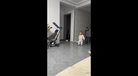 Playful Turkish Angora cat knocks down a laughing child in Anhui, China