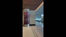 Travellers unfazed as fire alarm sounds at San Diego International Airport
