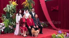 Groom lifts playful dog to join family photo during wedding in Shanxi, China