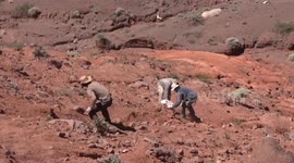 Argentina: One of the World's Oldest Dinosaurs Discovered in Argentina