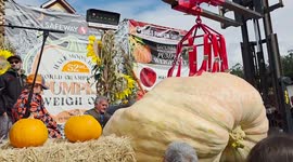 1 tonne pumpkin wins California's World Championship weigh-off 3/3