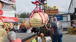 1 tonne pumpkin wins California's World Championship weigh-off 2/3